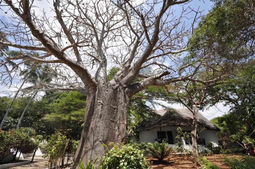 Baobab Sea Lodge Kilifi Zewnętrze zdjęcie